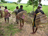 Villagers  arrives with their fishing tools  to catch fish  at a paddy field at Kampur in Nagaon District of Assam , india  on September  27...