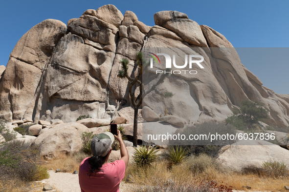 A person is seen taken a picture in Joshua Tree National Park in Joshua Tree, California, US, on September 1 , 2020. 