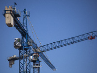 Cranes seen in Warsaw on September 28, 2020. (