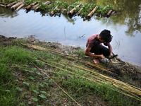 Nayeem (14), processes raw jute beside a river in Magura , Bangladesh on Saturday, October 03,2020. (