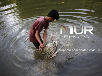 Nayeem (14), processes raw jute beside a river in Magura , Bangladesh on Saturday, October 03,2020. (
