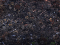 Aerial view of deforested vegetation near the Guajajara indigenous village of Urucu Jurua, Grajau, Maranhao state, Brazil, on October 3, 202...
