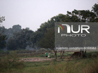 A couple walks along the forested area during evening near Yamuna river at ITO on October 8, 2020 in New Delhi, India. (