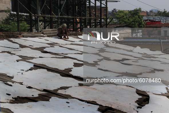 An Indian worker puts strips of leather to dry at a tannery in Kolkata,India on October 11,2020. 