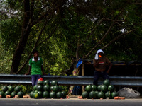 Indian roadside vendors wait for customers as they sell watermelon during a hot day in Allahabad on May 27,2015. (