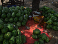 A water melon seller takes rest under a tree during a hot day in Allahabad on May 27,2015. (