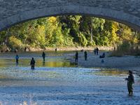 Fishermen try to catch the fish below the dam. Fish trying to go up and over the first dam on the Humber River near the Old Mill subway stat...