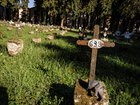 The crosses marking the burials of fetuses were seen at the cemetery of Caserta on 9 October 2020 in Caserta, Italy. After a woman discovere...