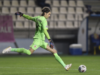 Ciprian Tatarusanu of Romania in action during match against Romania of UEFA Nations League football match in Ploiesti city October 14, 2020...