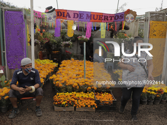 Cempasúchitl flower vendors at Deportivo Xochimilco, Mexico City, during the inauguration of the Flor de Cempasúchil 2020 Pilgrimage, on the...