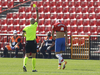 Maxime Gonalons, of Granada CF sees a yellow card during the La Liga match between Granada CF and Sevilla FC at Nuevo Los Carmenes Stadium o...