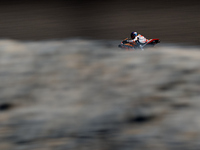 Alex Marquez (73) of Spain and Repsol Honda Team during the qualifying for the MotoGP of Aragon at Motorland Aragon Circuit on October 17, 2...