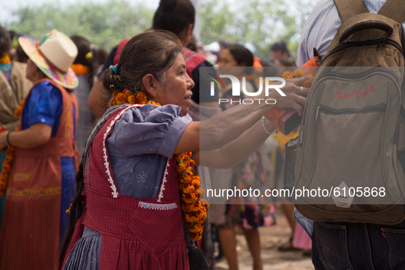 The Nahua community of Ahuehuepan, Guerrero, Mexico on October 11, 2020 holds a festival in honor of Sn Lucas. This celebration consists of...