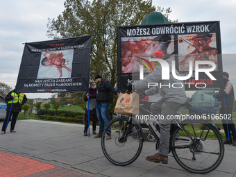Pro-Life activists organized a protest in Krakow's Red Zone, despite the epidemic and sanitary restrictions imposed by the Ministry of Healt...