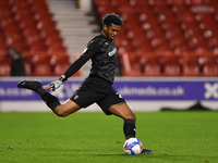 
Jamal Blackman of Rotherham United during the Sky Bet Championship match between Nottingham Forest and Rotherham United at the City Ground,...