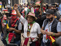 Educational syndicates, students, indigenous groups and workers unions march on a national protest in Bogota, the differents unions protest...