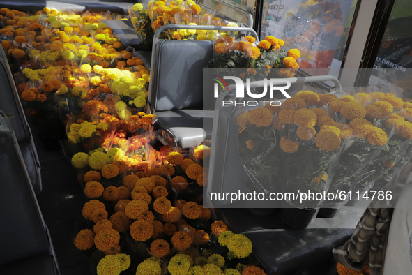 Cempasúchil flowers inside public transport in the Magdalena Tizic neighborhood, in San Pedro Tláhuac, Mexico City, on the eve of the Day of...