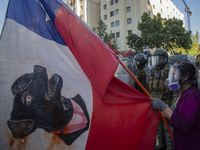 A person holds a Chilean flag, with a drawing of the dog -Negro Matapacos-, whose image became an emblem of the protest  on October 30, 2020...