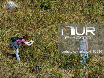 Hikers pose among silver grass on Sunset Peak in Lantau, Hong Kong, China on November 7, 2020. As temperatures have become fresher, many hon...