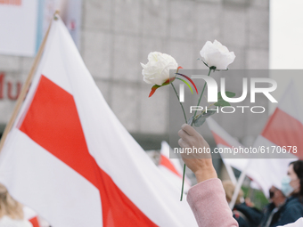 flowers are hold during the protest for pro democracy and ending dictatorship in Belarus in Cologne, Germany, on November 8, 2020. (