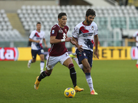 Sasa Lukic of Torino FC and Sebastiano Luperto of FC Crotone  during the Serie A football match between Torino FC and Crotone FC at Olympic...
