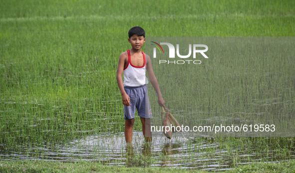 A young boy playing with a bag in above normal water rain water in a paddy field in the northeastern Indian state of Assam at Duliajan  on t...