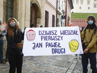 A banner saying 'Dziwisz knew first, John Paul second' is seen during a demonstration against Cardinal Stanislaw Dziwisz who allegedly ignor...