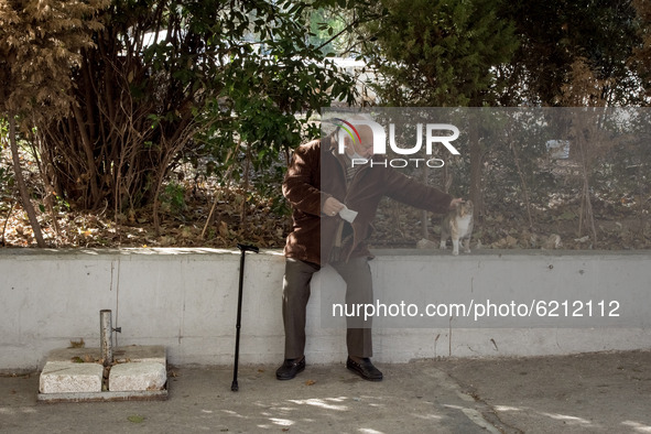 A man with protected mask seen caresses a cat in Athens, Greece on November 23, 2020 during the second COVID-19 lockdown in Greece.  