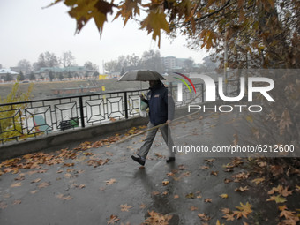 A man walks with an umbrella duirng rainfall in Srinagar, Indian Administered Kashmir on 23 November 2020. The weatherman has pedicted the r...