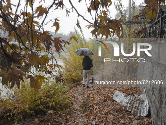 A man walks with an umbrella duirng rainfall in Srinagar, Indian Administered Kashmir on 23 November 2020. The weatherman has pedicted the r...