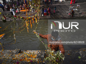 A Nepalese devotee tighten religious rope consists of flower, fruits and holy grains at the Pashupatinath Temple during Haribodhini Ekadashi...