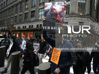 Demonstrators opposed to animal cruelty march with signs chanting slogans on Fifth Avenue on November 27, 2020 in New York City USA. Traditi...