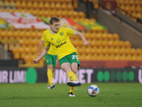 Norwichs Oliver Skipp during the Sky Bet Championship match between Norwich City and Coventry City at Carrow Road, Norwich on Saturday 28th...