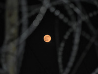 Full moon in Srinagar, Indian Administered Kashmir on 30 November 2020. (