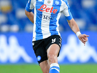 Fabian Ruiz of SSC Napoli during the Serie A match between SSC Napoli and AS Roma at Stadio San Paolo, Naples, Italy on 29 November 2020.  (