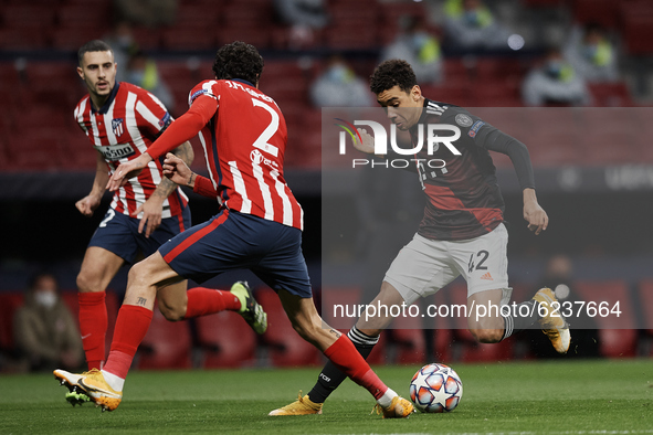 Jamal Musiala of Bayern during the UEFA Champions League Group A stage match between Atletico Madrid and FC Bayern Muenchen at Estadio Wanda...