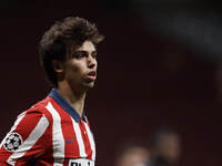 Joao Felix of Atletico Madrid during the UEFA Champions League Group A stage match between Atletico Madrid and FC Bayern Muenchen at Estadio...