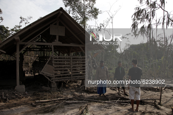Villagers of Sumbersari visit the barn of their livestock which died caused by the volcanic materials fom the eruption of mount Semeru (3.67...