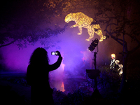 Artistic light works are seen at the exhibition ‘Magical Garden’ at the Tropical Botanical Garden, in Lisbon, Portugal on December 28, 2020....