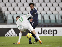 Weston McKennie of Juventus in action during the Serie A match between Juventus and US Sassuolo at Allianz Stadium  on January 10, 2021 in T...
