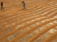 People work in a rice processing mill in Munshiganj, Bangladesh January  11, 2021 (