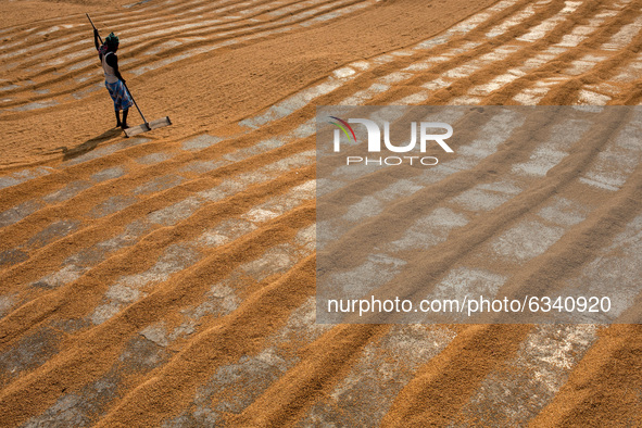 Worker works in a rice processing mill in Munshiganj, Bangladesh January  11, 2021 