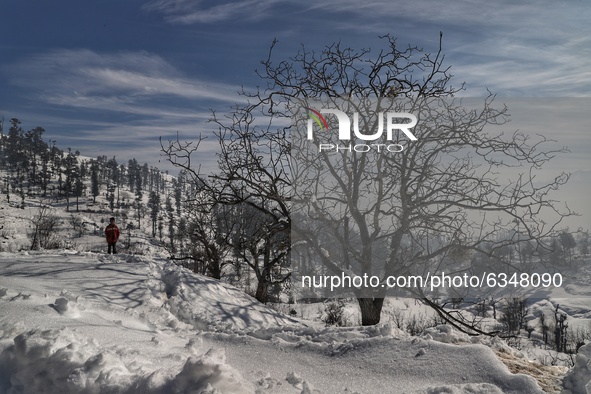 A boy walks over snow covered area of Hajibal on the outskirts of District Baramulla Jammu and Kashmir India on 14 January 2021 