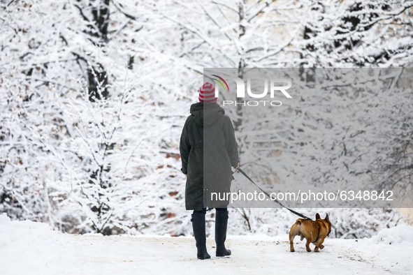 A woman is walking a dog in a park covered with snow in Krakow, Poland. January 14, 2021.  