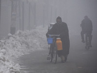 A milkman crossing the road amid dense fog in Srinagar, Kashmir on January 15, 2021.A meteorological department official said that Srinagar,...