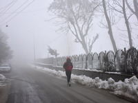 A boy walks amid dense fog in Srinagar, Indian Administered Kashmir on 15 January 2020. The temprature in Srinagar dipped to -8.4 Celsius on...