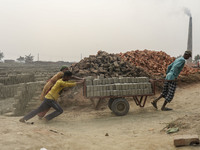 Brickfield workers are work in brickfields at Narayanganj near Dhaka Bangladesh on January 15, 2021. (