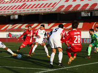 Match between AC Monza and Cosenza for Serie B at U-Power Stadium in Monza, Italy, on January 15 2021 (
