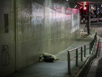 Homeless people sleep under the overpass in Tokyo, Japan on 14 January 2021. (