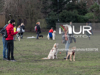  Dog walkers observe social distancing in Wandsworth Common as England remains under lockdown to limit the spread of the new, more transmiss...